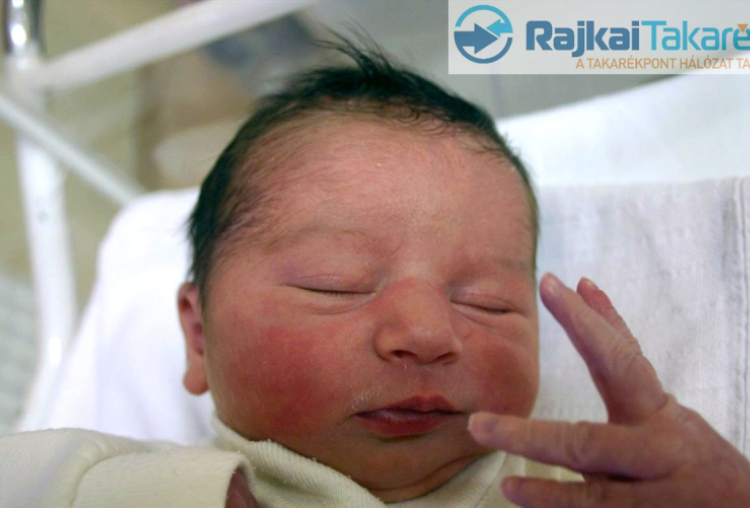 Patyi Zselyke, Mosonmagyaróvár