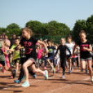 XV. Greiner Szigetköz Félmaraton