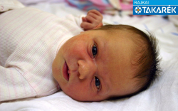 Hardi Hanna, Mosonszolnok