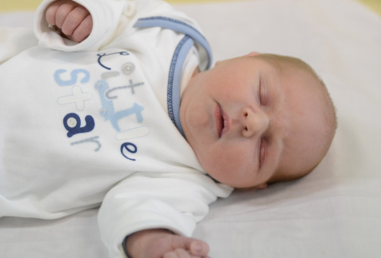 Mogyorósi Márk, Feketeerdő