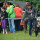 CAC kutyakiállítás (Fotó: Nagy Mária)