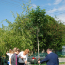 Faültetés az Idősök otthonában