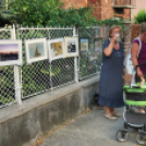 Kerítéstárlat (Fotó: Nagy Mária)