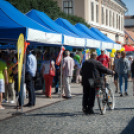 Apró kezek, Csodakertek - IX. Gyermek Kertépítő Verseny