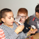 Kőrisfacsemetéket ültettek a diákok a Nolato Magyarország Kft telephelyén