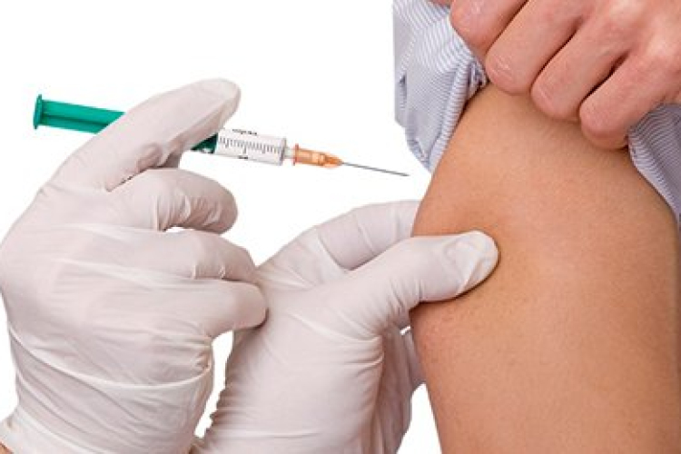 Ismét hiánycikk a kullancs elleni oltás