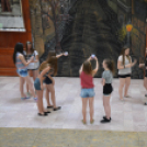 Nyárcsalogató (Fotó: Nagy Mária)