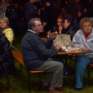 Szigetköz Ízei, Vármegye borai Fesztivál (péntek) (Fotó: Horváth Attila)