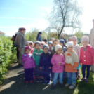 Faültetés a Föld Napja alkalmából