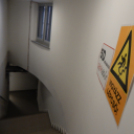 5D Attraction a FUTURA-ban