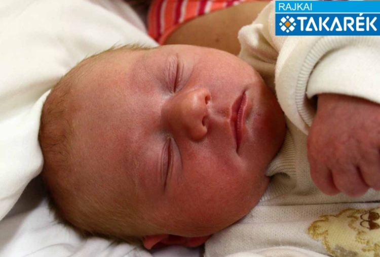 Kertész Péter Kristóf, Mosonmagyaróvár