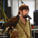 XII. Szigetköz ízei, Vármegye borai Fesztivál 3. nap