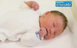 Vedrődi Hunor László, Mosonszolnok