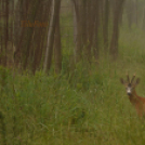 Tilai Gergely - Kerekesszéktől az önálló fotókiállításig
