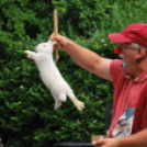 Családi nap a Gyerekek Átmeneti Otthonában