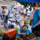 Apró kezek, Csodakertek - IX. Gyermek Kertépítő Verseny