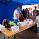 Apró Kezek, Csodakertek