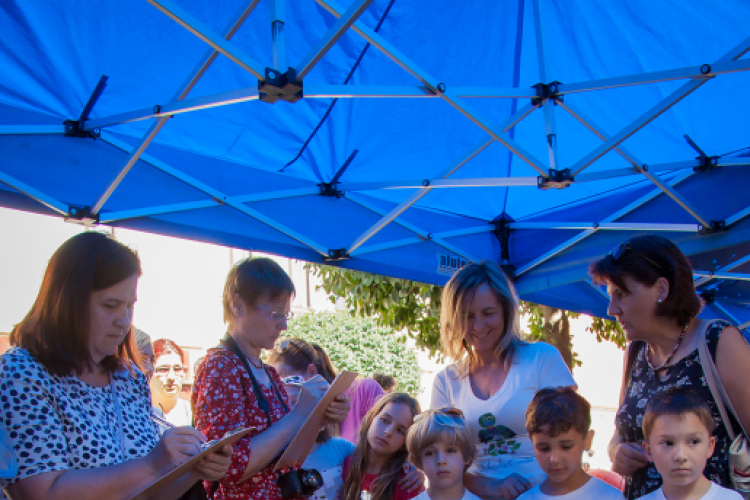 Apró kezek, Csodakertek - IX. Gyermek Kertépítő Verseny