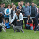 CAC kutyakiállítás (Fotó: Nagy Mária)