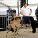 XI. Szigetköz ízei, Vármegye borai Fesztivál 3. nap 