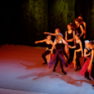 Jótékonysági műsor - Fehér és Máltai Szeretetszolgálat az Éltes iskola javára (Fotó: Horváth Attila)