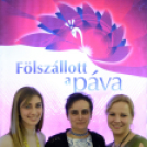 Fölszállott a páva 2016 döntő