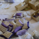 VÁROSI MIKULÁS NAP