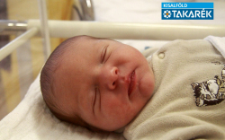 Gelecsér Ábris, Halászi