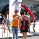 XV. Greiner Szigetköz Félmaraton