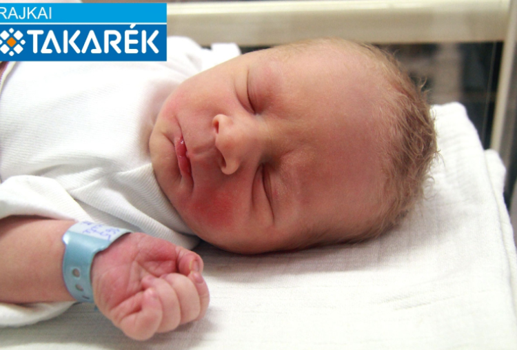 Szalay Levente, Csorna