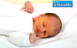 Lang Krisztián, Kisbodak