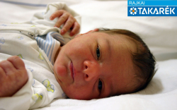 Orbán Krisztián, Levél