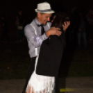 Szigetköz ízei, Vármegye borai Fesztivál - 1 nap