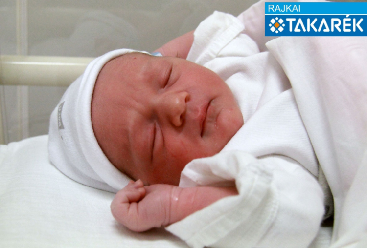 Sípos Ferenc, Halászi