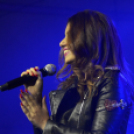 XI.Szigetköz ízei, Vármegye borai Fesztivál 1. nap