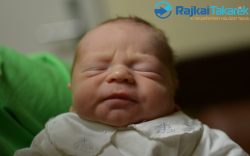 Nusser Martin, 3190 gr. Jánossomorja