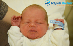 Litresits Máté, 3190 gr. Mosonmagyaróvár