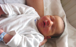 Sebestyén-Szelle Nándor-Dunasziget