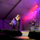 XI.Szigetköz ízei, Vármegye borai Fesztivál 1. nap