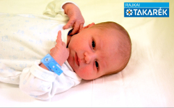 Wandraschek Bence, Mosonmagyaróvár