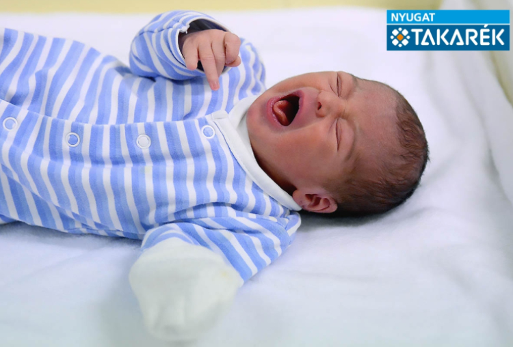 Horváth Dániel Sándor, Mosonmagyaróvár