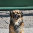 Családi nap a Gyerekek Átmeneti Otthonában