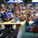 VII. Apró kezek, csodakertek Gyermek Kertépítő verseny