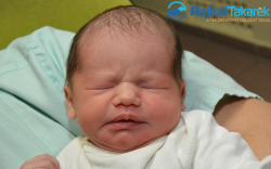 Giczi Viola Zsuzsa, 2910 gr. Halászi