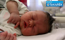 Kovács-Szűts Zsombor, Halászi