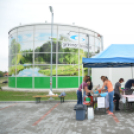 Greiner családi nap (Fotó: Nagy Mária)