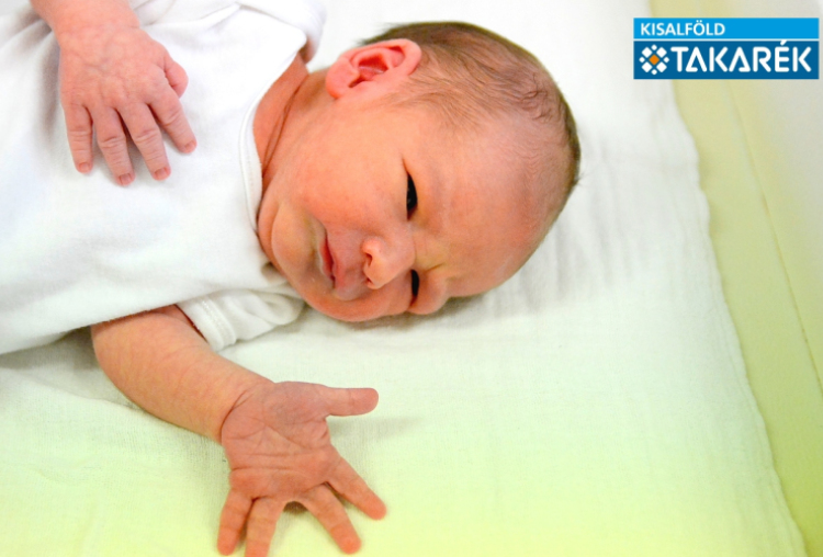 Németh Balázs, Mihályi