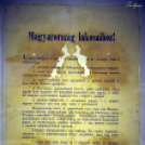 48-as kiállítás a Fehér Ló Közösségi Házban