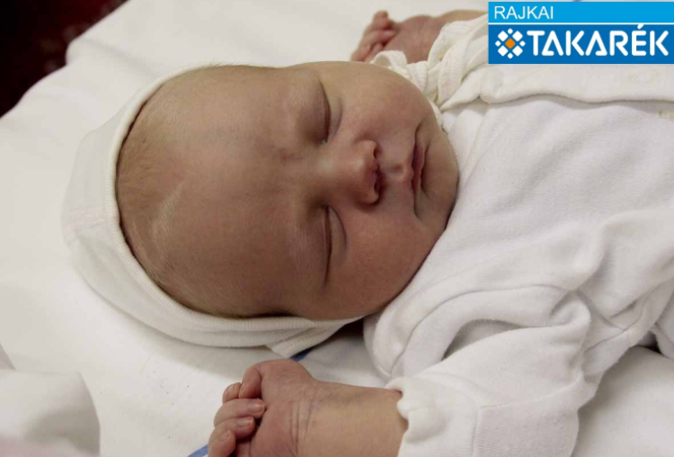 Böcskei Tamás, Levél