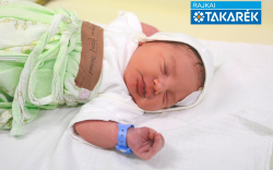 Bognár József Botond, Mosonmagyaróvár